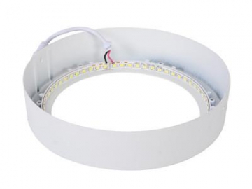 LED Flush Mount Light