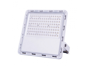 LED Flood Light，Item CET-109 LED