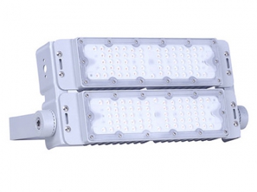 LED Flood Light, Item CET-110 LED