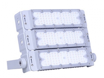 LED Flood Light, Item CET-110 LED