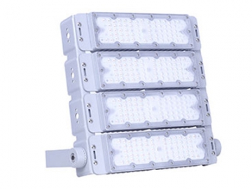 LED Flood Light, Item CET-110 LED