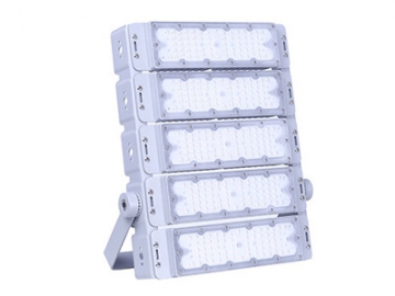 LED Flood Light, Item CET-110 LED