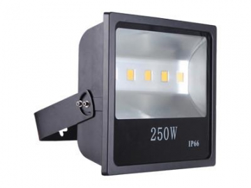 COB LED Flood Light, CET-111