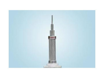 ACSR / AW-Aluminum Conductor Aluminum Clad Steel Reinforced