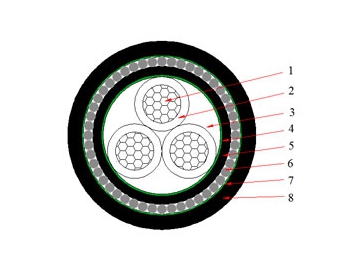 0.6/1 kV N2XRY Cable (CU/XLPE/SWA/PVC)