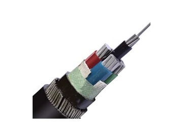 0.6/1 kV NA2XRY Cable (AL/XLPE/SWA/PVC)