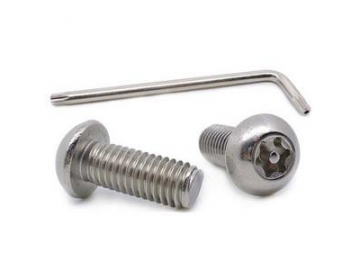 Anti-Theft Screw