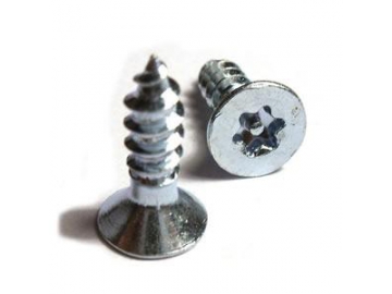 Anti-Theft Screw