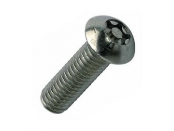 Anti-Theft Screw