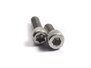 Torx Security Screw