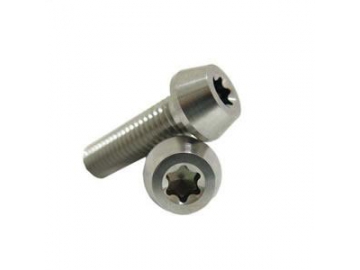 Torx Security Screw