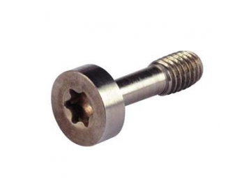 Torx Security Screw