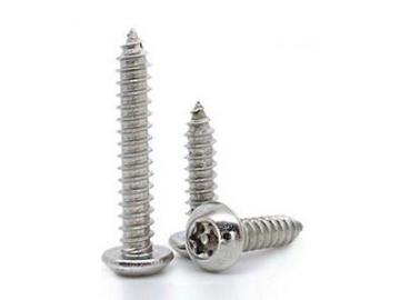 Torx Security Screw