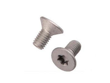 Torx Security Screw