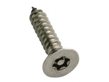 Torx Security Screw