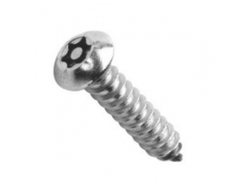 Torx Security Screw