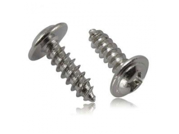 Self-Tapping Screw