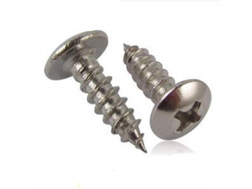 Self-Tapping Screw