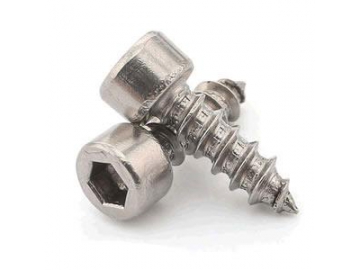 Self-Tapping Screw