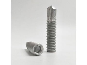 Self-Drilling Screw