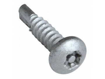 Self-Drilling Screw