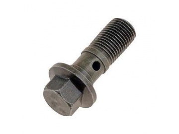 Banjo / Hollow Bolt