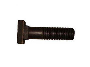T Bolt