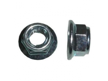 Flange Nut