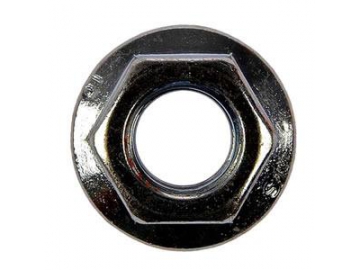 Flange Nut
