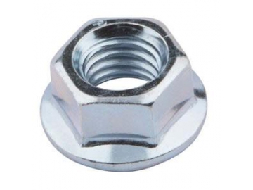 Flange Nut
