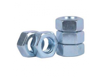Hex Nut