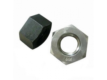 Hex Nut