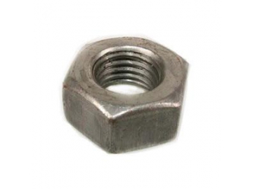 Hex Nut