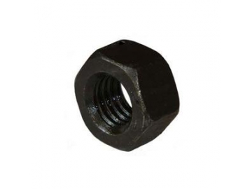 Hex Nut
