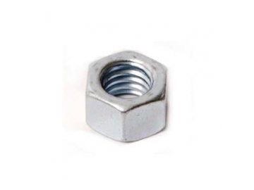 Hex Nut