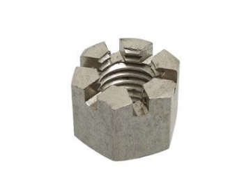 Slotted Nut