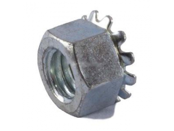 Slotted Nut