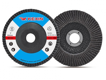 6” 100 Grit Flap Disc / T27 Sanding Disc