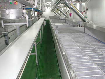 Poultry Products Freezing System