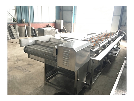 Fruit & Vegetable Processing Line