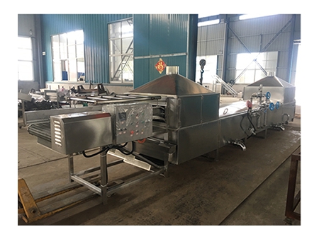 Fruit & Vegetable Processing Line