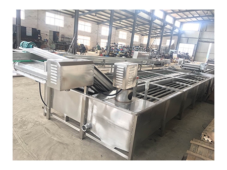 Fruit & Vegetable Processing Line