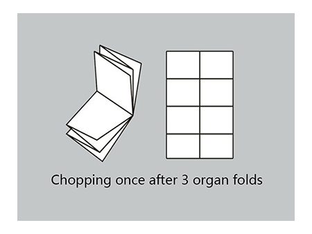 Paper Folder (4 Buckles and 1 Knife)