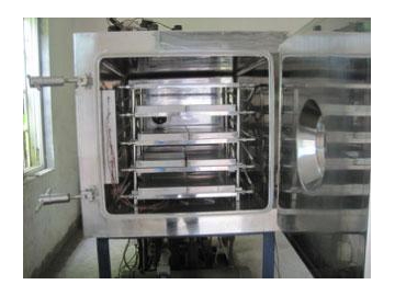 Vacuum Freeze Dryer