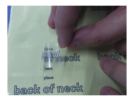 Sticker / Adhesive Label