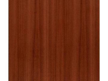 Solid Wood Door