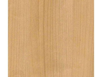 Solid Wood Door