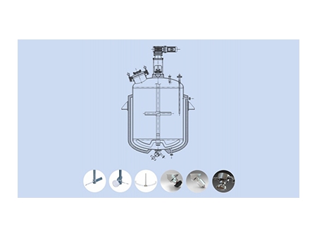 Pharmaceutical Processing Stainless Steel Bioreactors