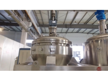 Conical Screw Vacuum Dryer