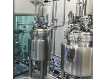 Pharmaceutical Gels Mixing and Agitation Tanks